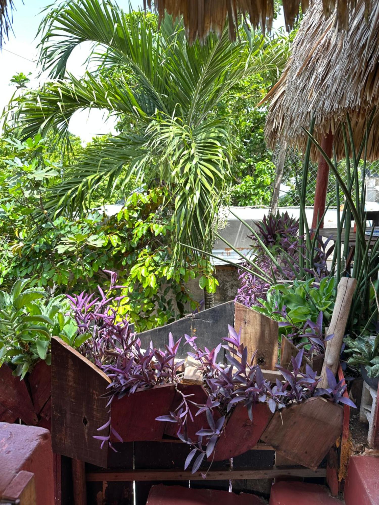 Black Jaguar Hostel Bacalar Exterior photo