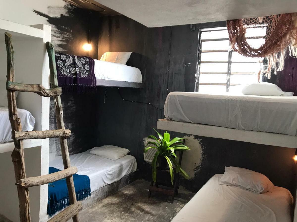 Black Jaguar Hostel Bacalar Exterior photo