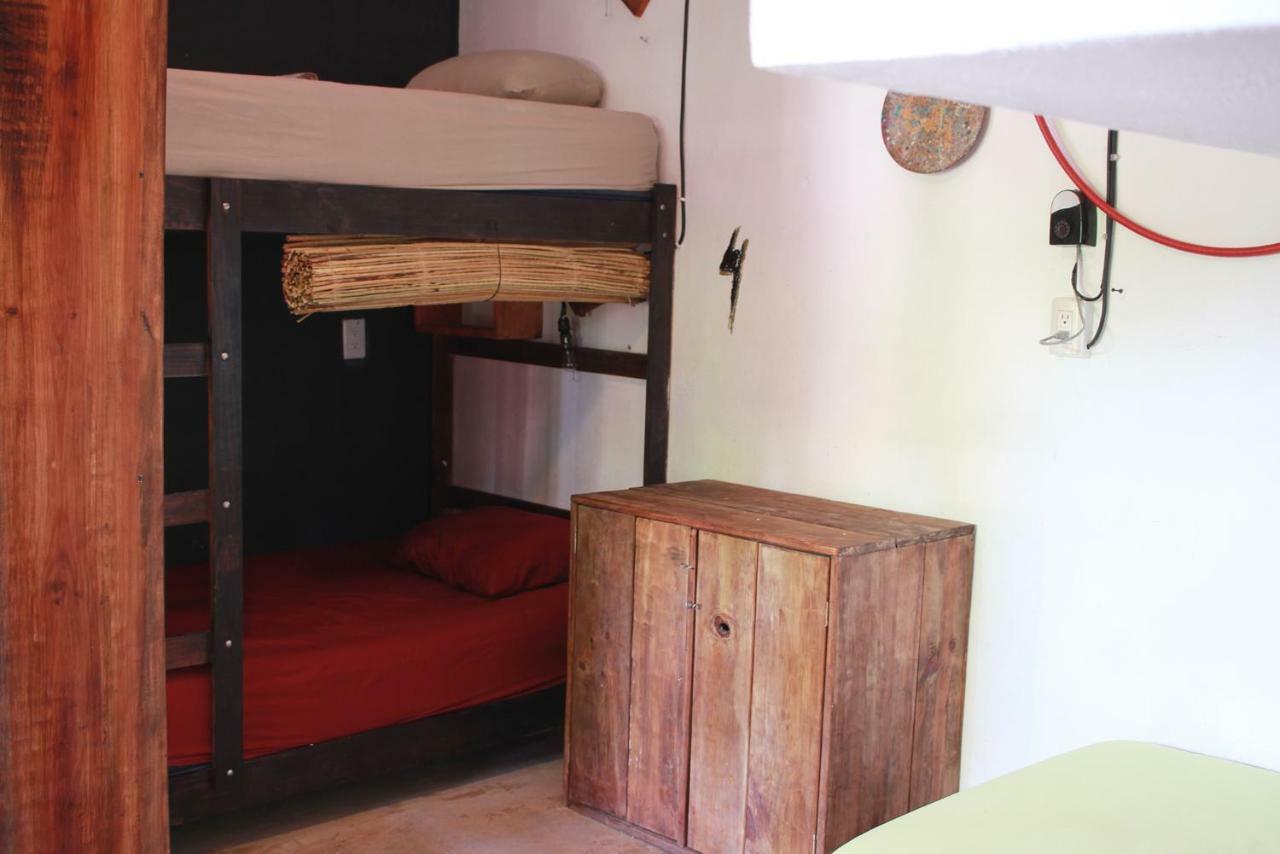 Black Jaguar Hostel Bacalar Exterior photo